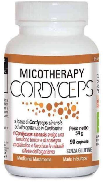 image - 984968952 - Integratore alimentare biologico a base di Cordyceps sinensis, utile per sostenere il metabolismo e le difese naturali dell'organismo. - 4866749_1.jpg