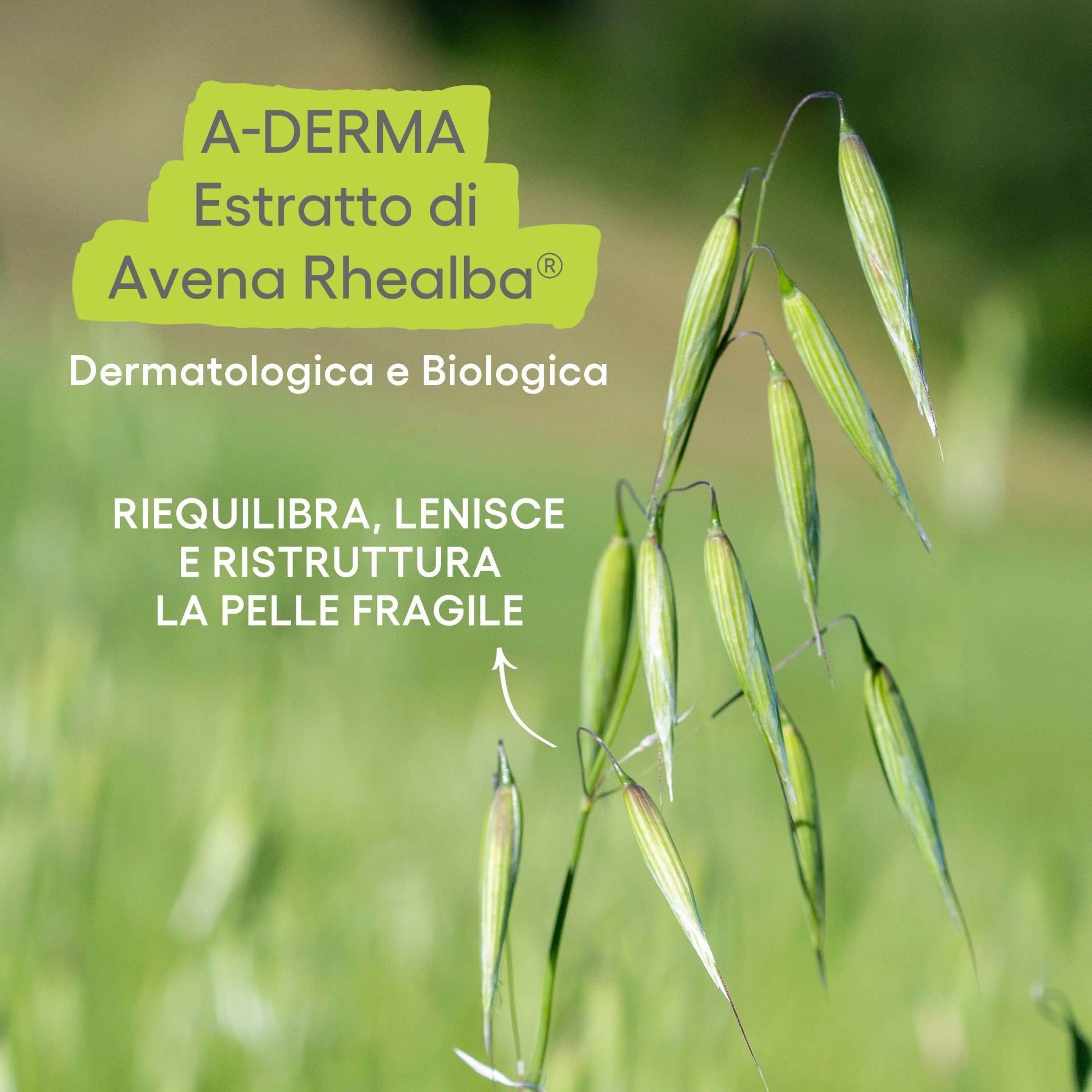 983674666 - EXOMEGA CONTROL CREMA EMOLLIENTE 200 ML - 4709684_12.jpg