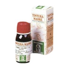 image - 900538998 - Soluzione idroalcolica di Verga d'Oro da 50 ml, utilizzata come diuretico, da assumere 10-40 gocce, 2-3 volte al giorno, diluite in acqua non gassata. - 4869703_2.jpg
