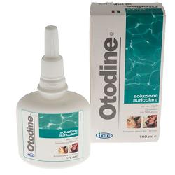 Otodine Soluzione Auricolare 100ml