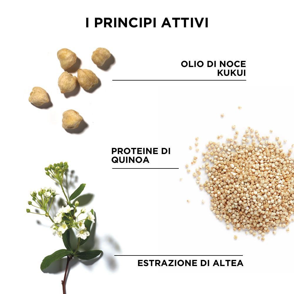 980924714 - Phyto Phytodefrisant Shampoo disciplinante capelli crespi 250ml - 4708444_3.jpg