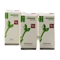 image - 900309333 - Integratore alimentare in gocce a base di gemme di sorbo, utile per le funzioni fisiologiche vascolari; assumere 50 gocce diluite in acqua, due volte al giorno. - 4875289_2.jpg