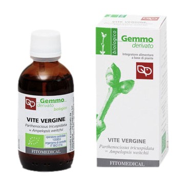 image - 981047158 - Integratore alimentare a base di gemme di vite vergine biologica, utile per il benessere psico-fisico e la memoria, da assumere due volte al giorno. - 4872056_2.jpg