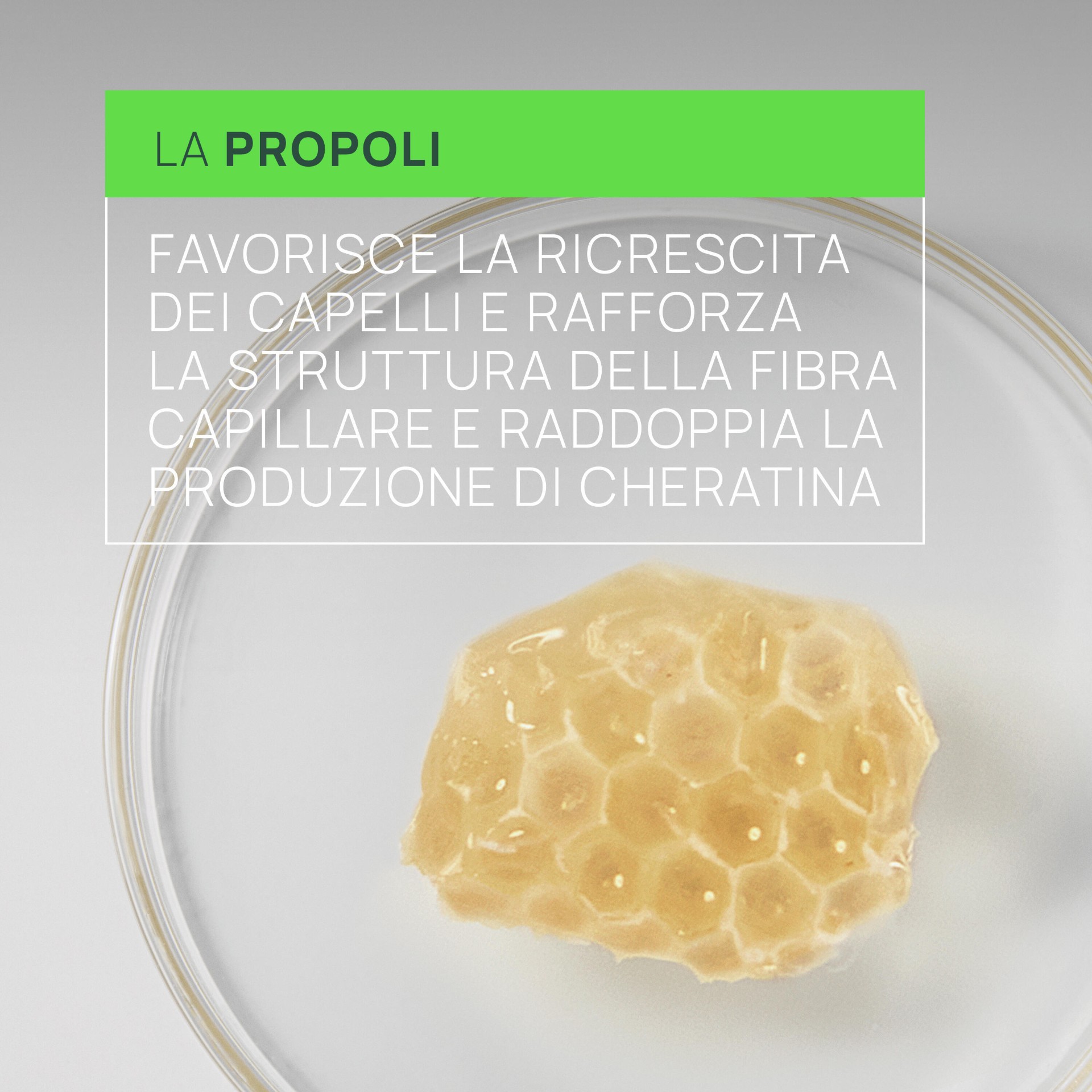 988177287 - RENE FURTERER TRIPHASIC REACTIONAL TRATTAMENTO CONTRO LA CADUTA COFFRET 12 AMPOLLE - 4779110_13.jpg