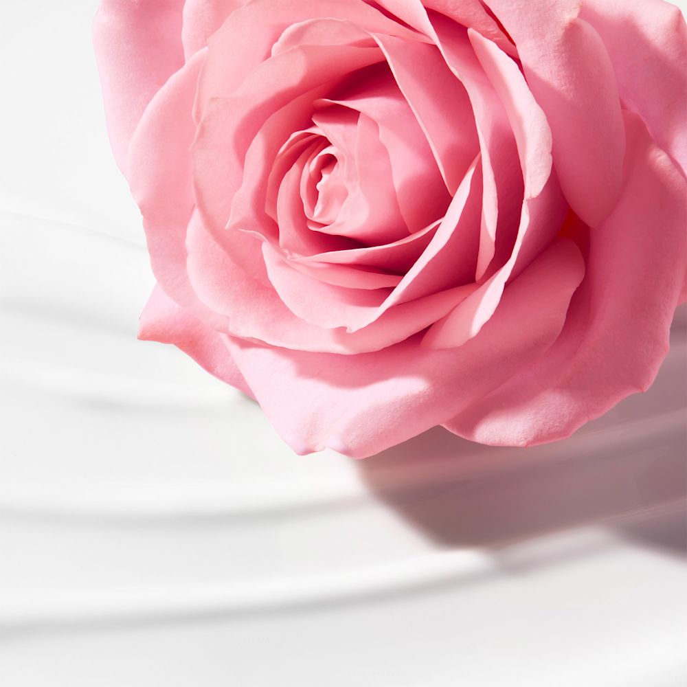 979407018 - NUXE VERY ROSE LATTE STRUCCANTE VELLUTATO 200 ML - 4705695_4.jpg