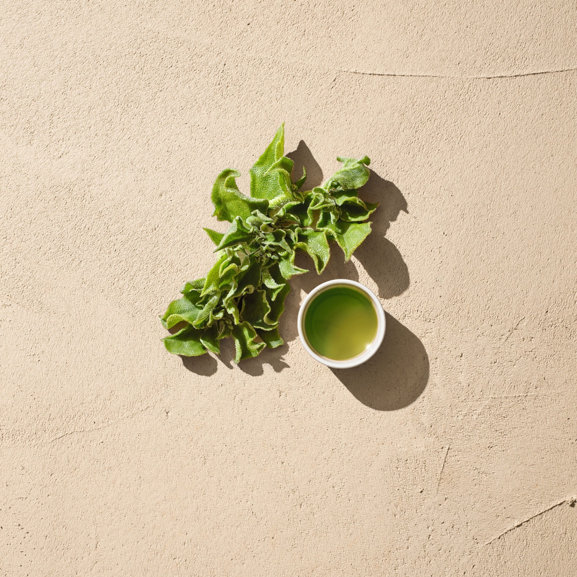 image - 980424865 - DR HAUSCHKA CREMA VISO ERBA CRISTALLINA 40 ML - 4736229_6.jpg