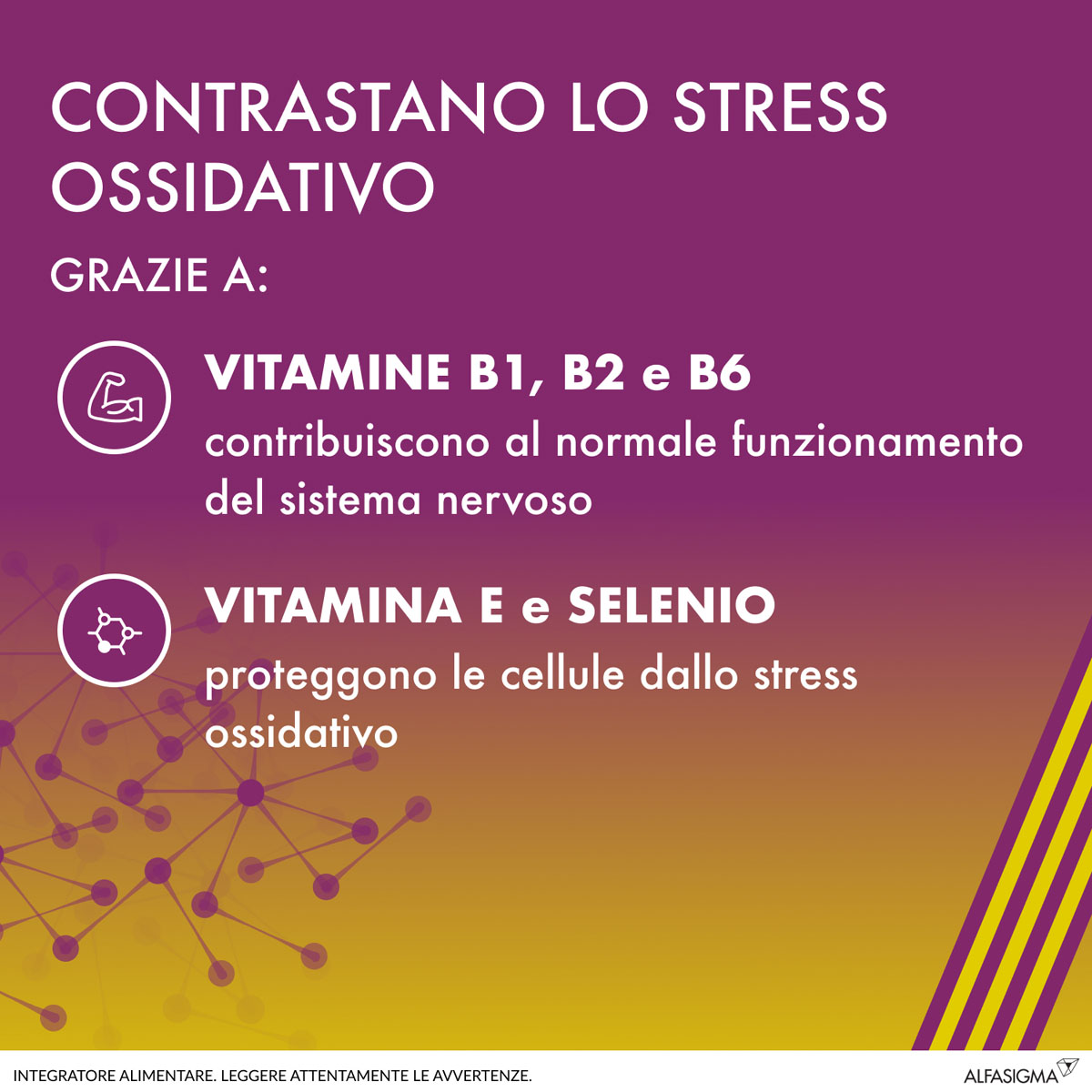 931644696 - ALANERV ON 20 CAPSULE SOFTGEL - 7890240_6.jpg