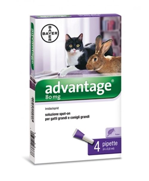104373030 - Advantage Spot On 0,8ml Trattamento pulci conigli e gatti 4 pipette - 7875557_2.jpg