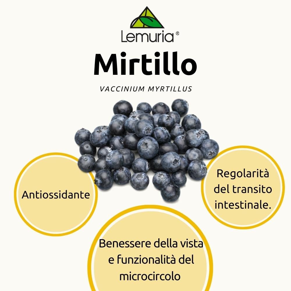 image - 906355387 - Lemuria Mirtillo Estratto Totale Integratore circolazione 30ml - 4715179_4.jpg
