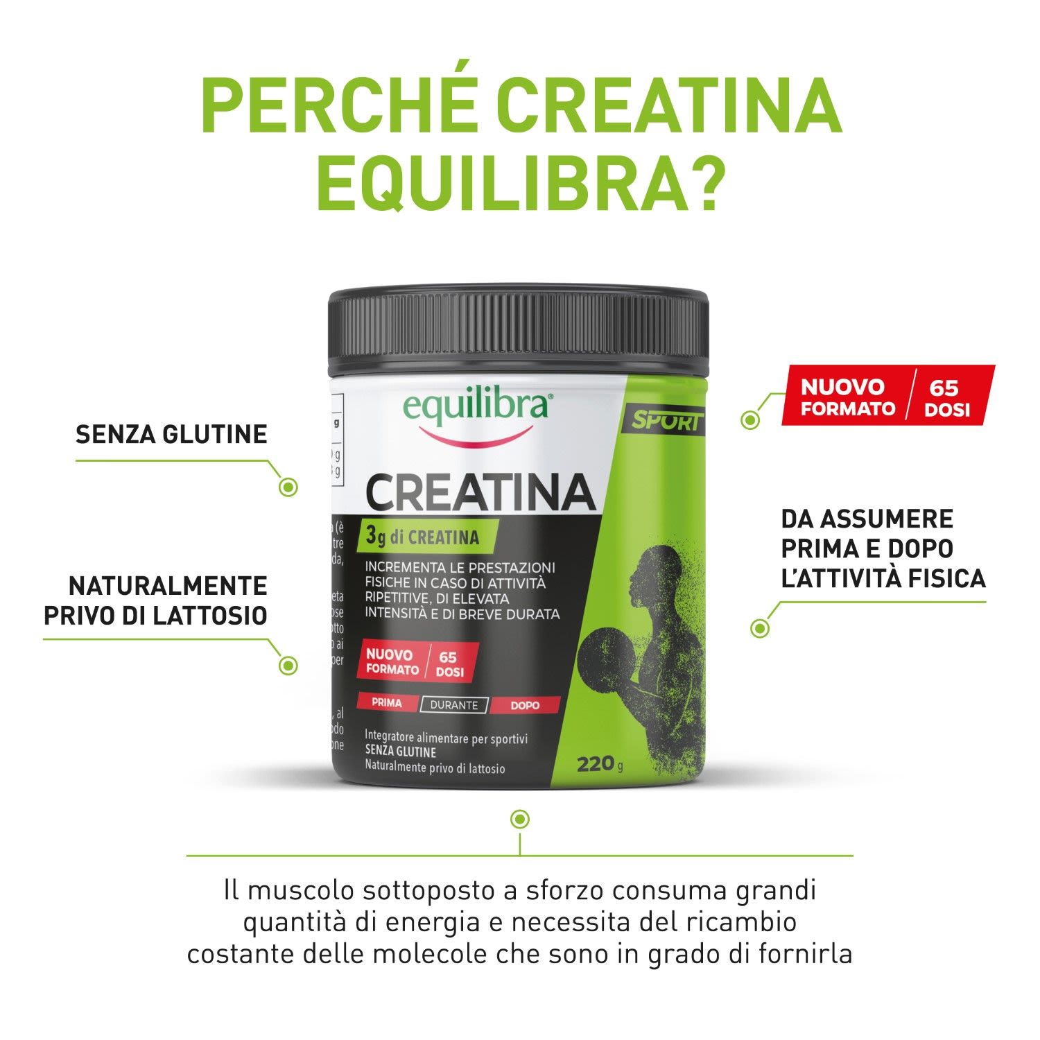 image - 985971682 - Equilibra Creatina Integratore 220g - 4742603_4.jpg