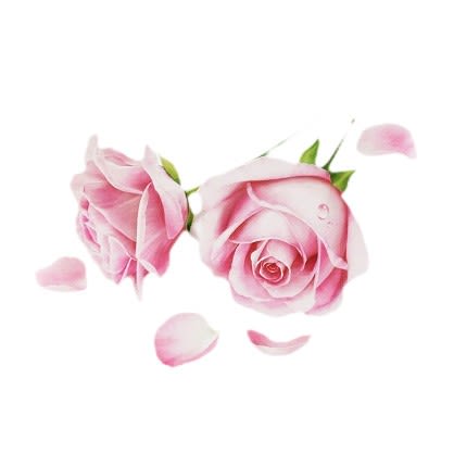 image - 984901482 - Maschera viso in tessuto con estratto di rosa che idrata e dona luminosità alla pelle secca, da utilizzare 2-3 volte a settimana per un colorito fresco e sano. - 4869383_2.jpg