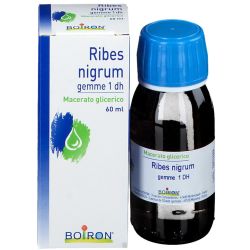 800028021 - Boiron Ribes Nigrum Macerato Glicerico 60ml - 7870573_2.jpg