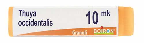 800027245 - Boiron Thuya Occidentalis Xmk globuli - 7882806_1.jpg