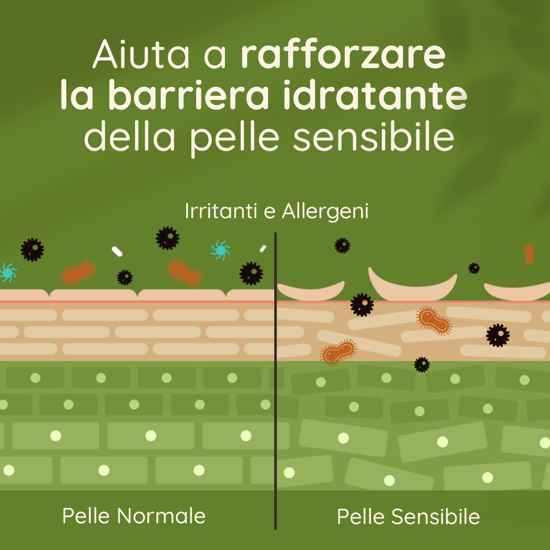 image - 976401354 -  - 4744275_7.jpg