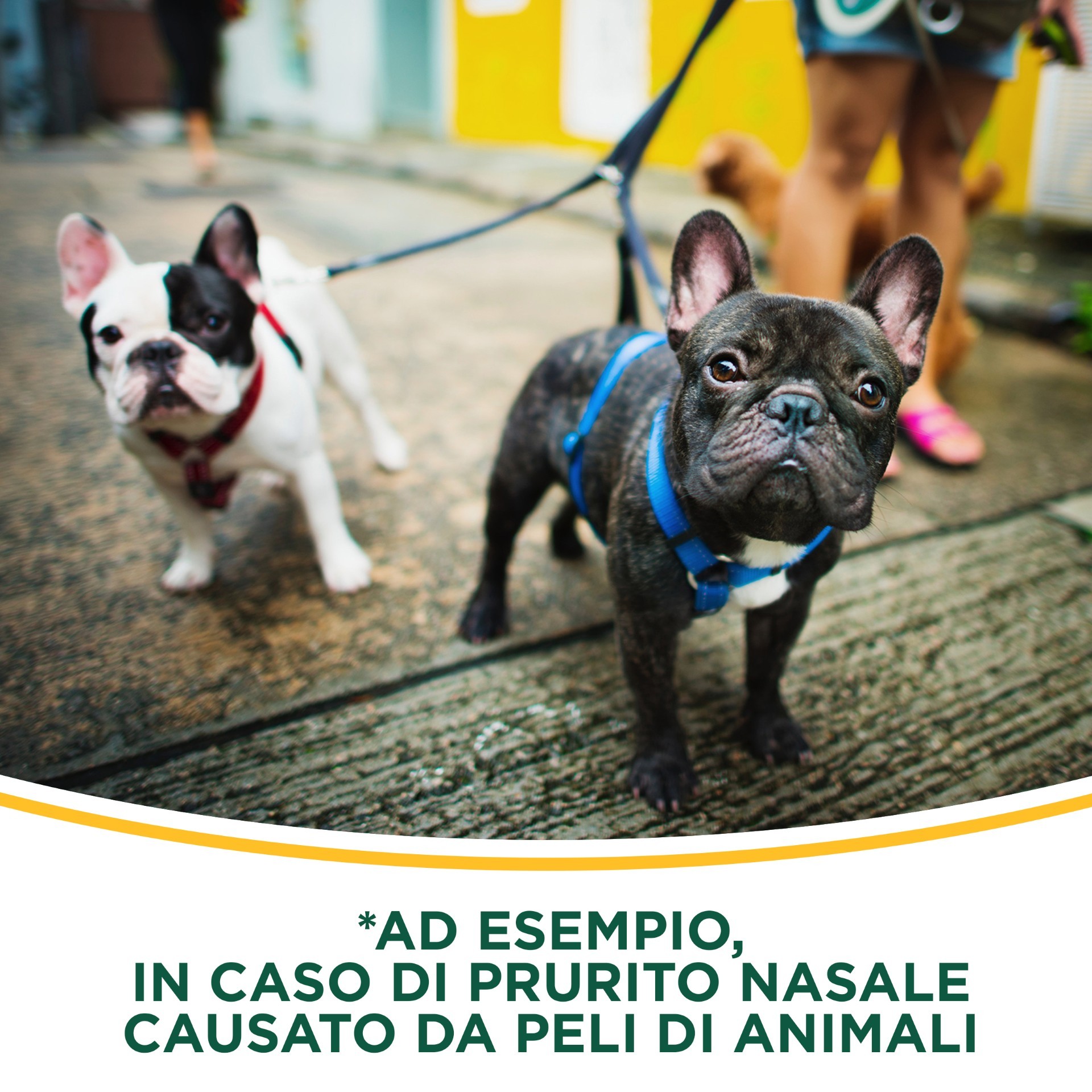 image - 041174020 - RINAZINA ANTIALLERGICA*spray nasale 10 ml 1 mg/ml - 7852584_12.jpg