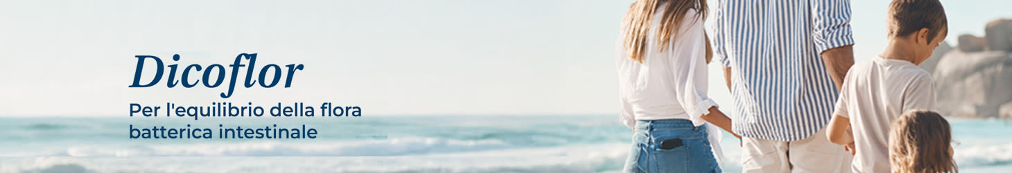 image - Hero desk dicoflor