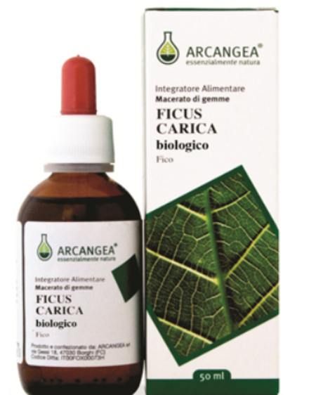 Ficus Carica Bio 33 Circulatum Gemmoderivato 50ml