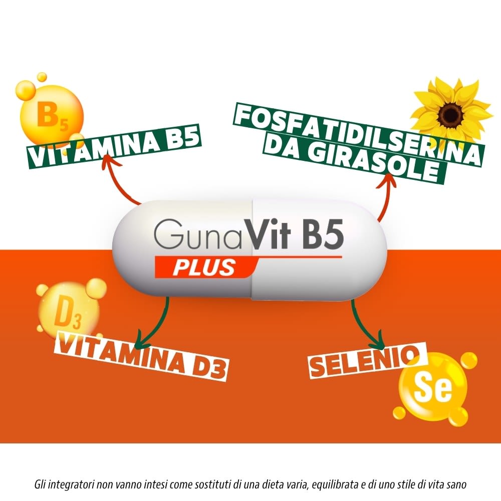 947071421 - GUNAVIT B5 PLUS 30 CAPSULE - 4709314_6.jpg