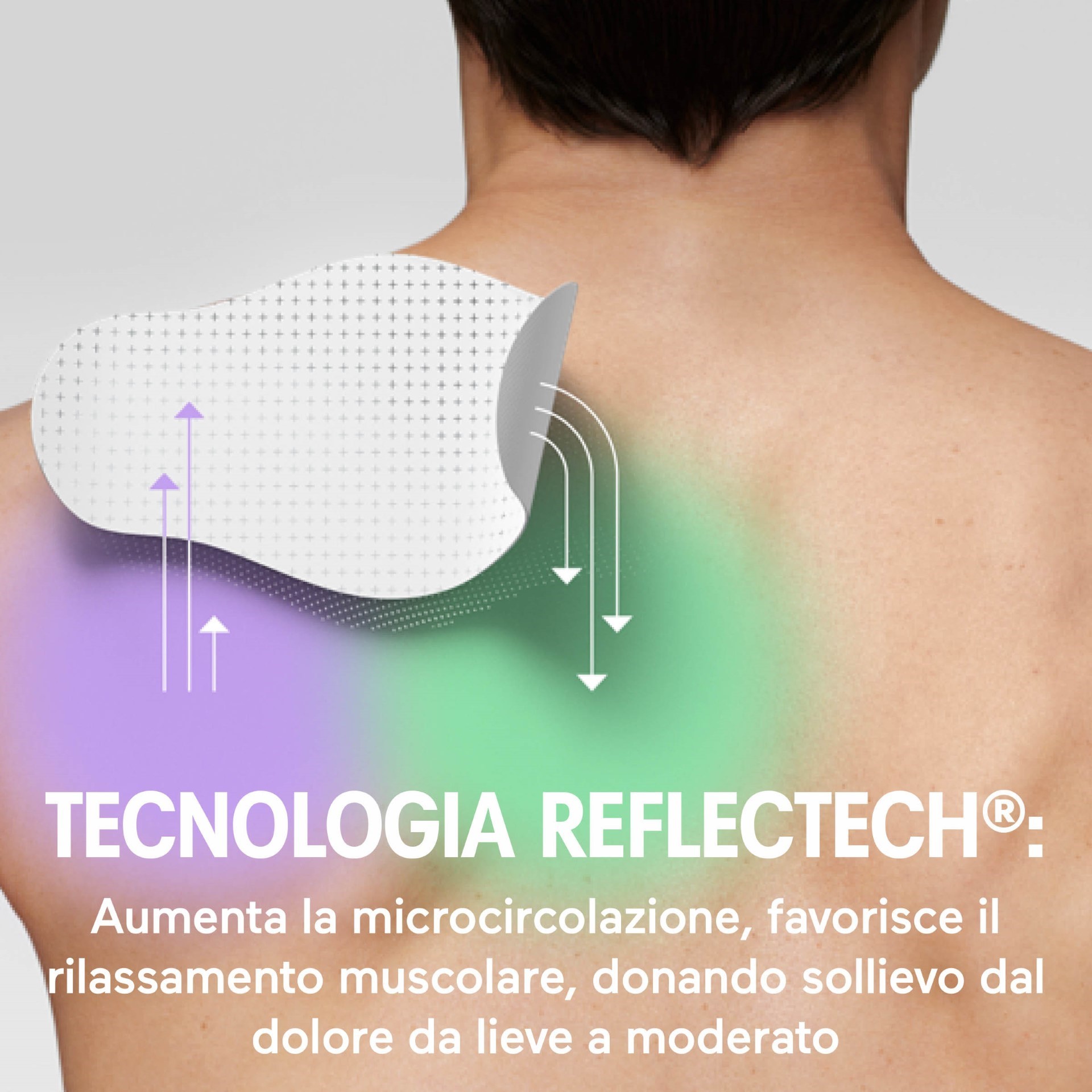 image - 943514000 - descrizione - 0005641_3.jpg