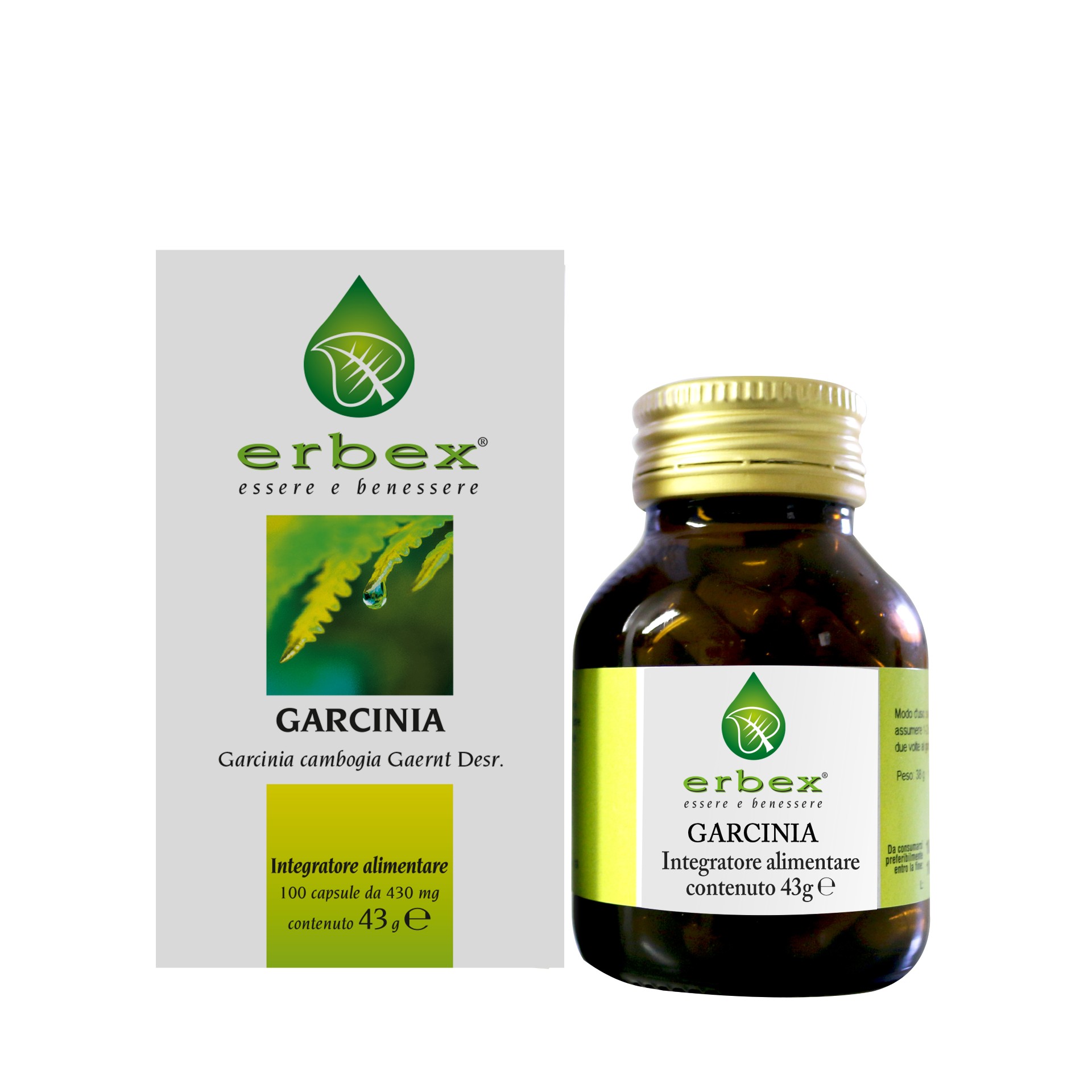 902193200 - GARCINIA 100 CAPSULE 430MG - 4713518_6.jpg