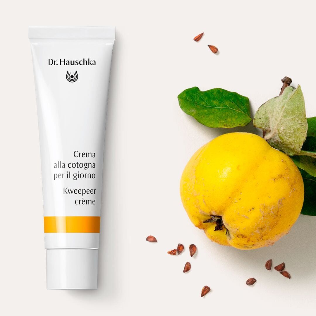 934297146 - DR HAUSCHKA CREMA COTOGNA GG 30ML - 4723073_4.jpg