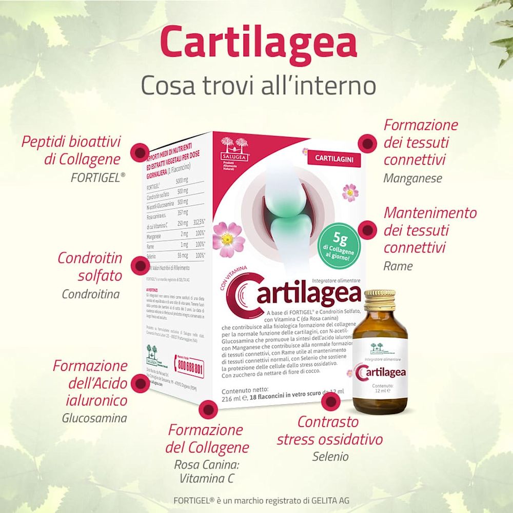986112720 - CARTILAGEA SALUGEA 18 FLACONCINI DA 12 ML - 4742959_6.jpg