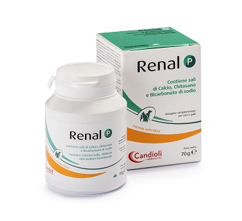 Renal P Mangime Complementare Per Cani E Gatti Barattolo 70g