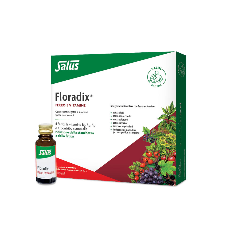 Floradix Integratore Ferro 10 Flaconcini