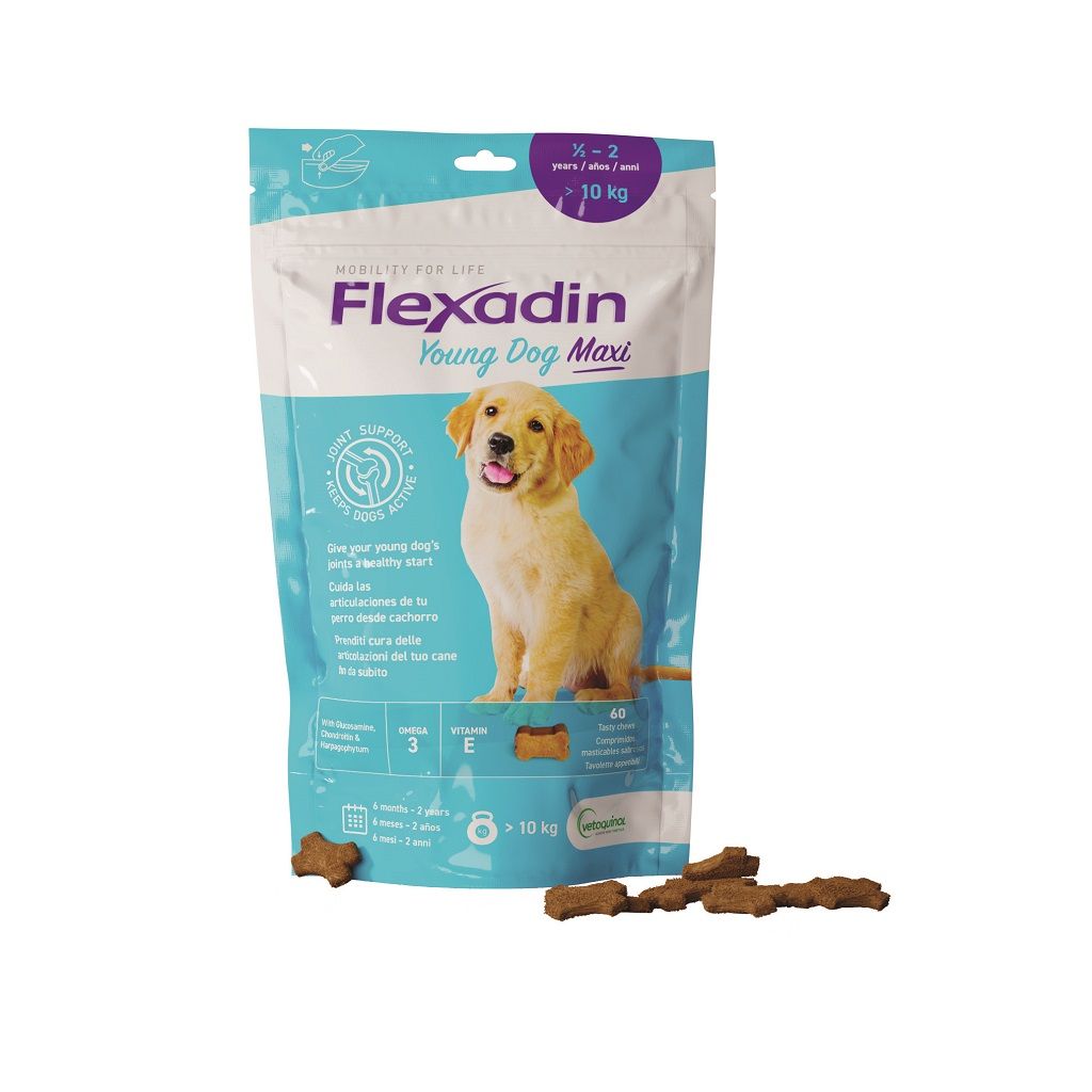 Flexadin Young Dog Maxi Mangime Cane 60 Tavolette Appetibili