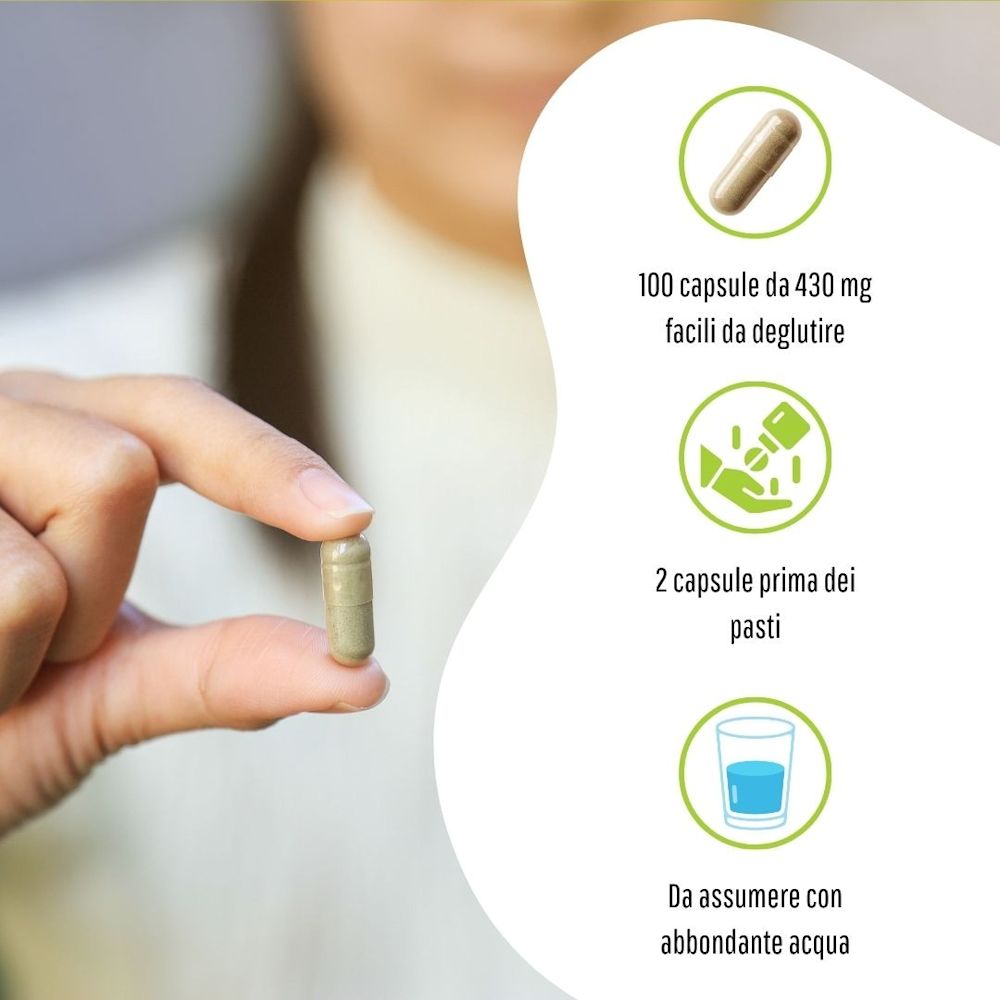 902193200 - GARCINIA 100 CAPSULE 430MG - 4713518_9.jpg