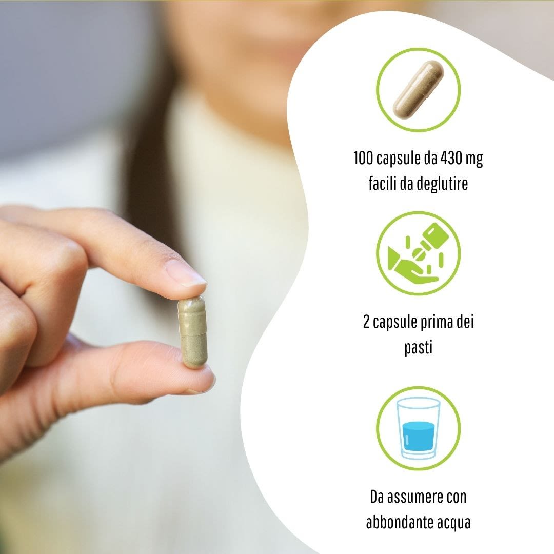 902193200 - GARCINIA 100 CAPSULE 430MG - 4713518_9.jpg