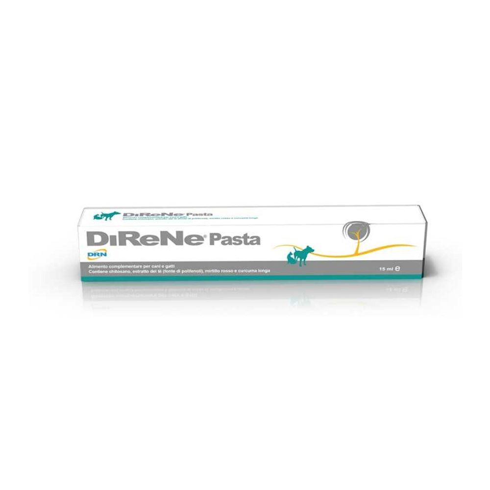 927295790 - DIRENE PASTA 15 ML - 7879945_1.jpg