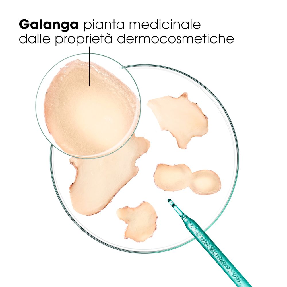 951124890 - KLORANE SHAMPOO TRATTANTE & RIEQUILIBRANTE GALANGA 400 ML 25 - 4842965_3.jpg