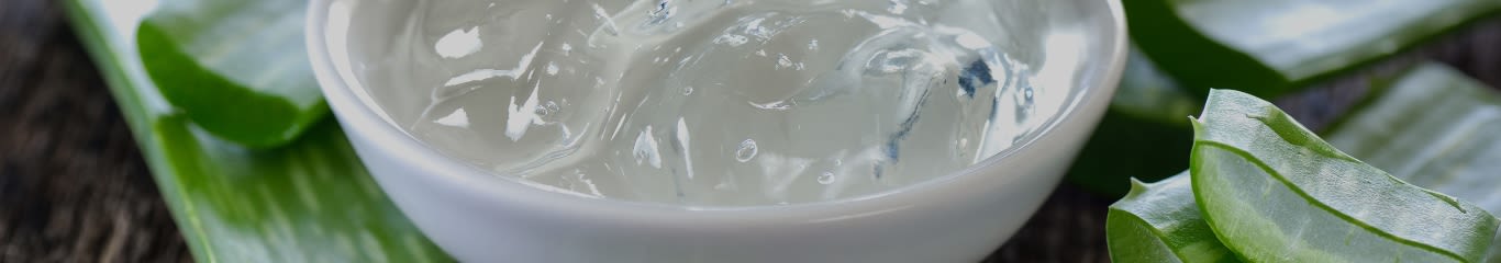 Come riconoscere l’Aloe vera di qualità superiore