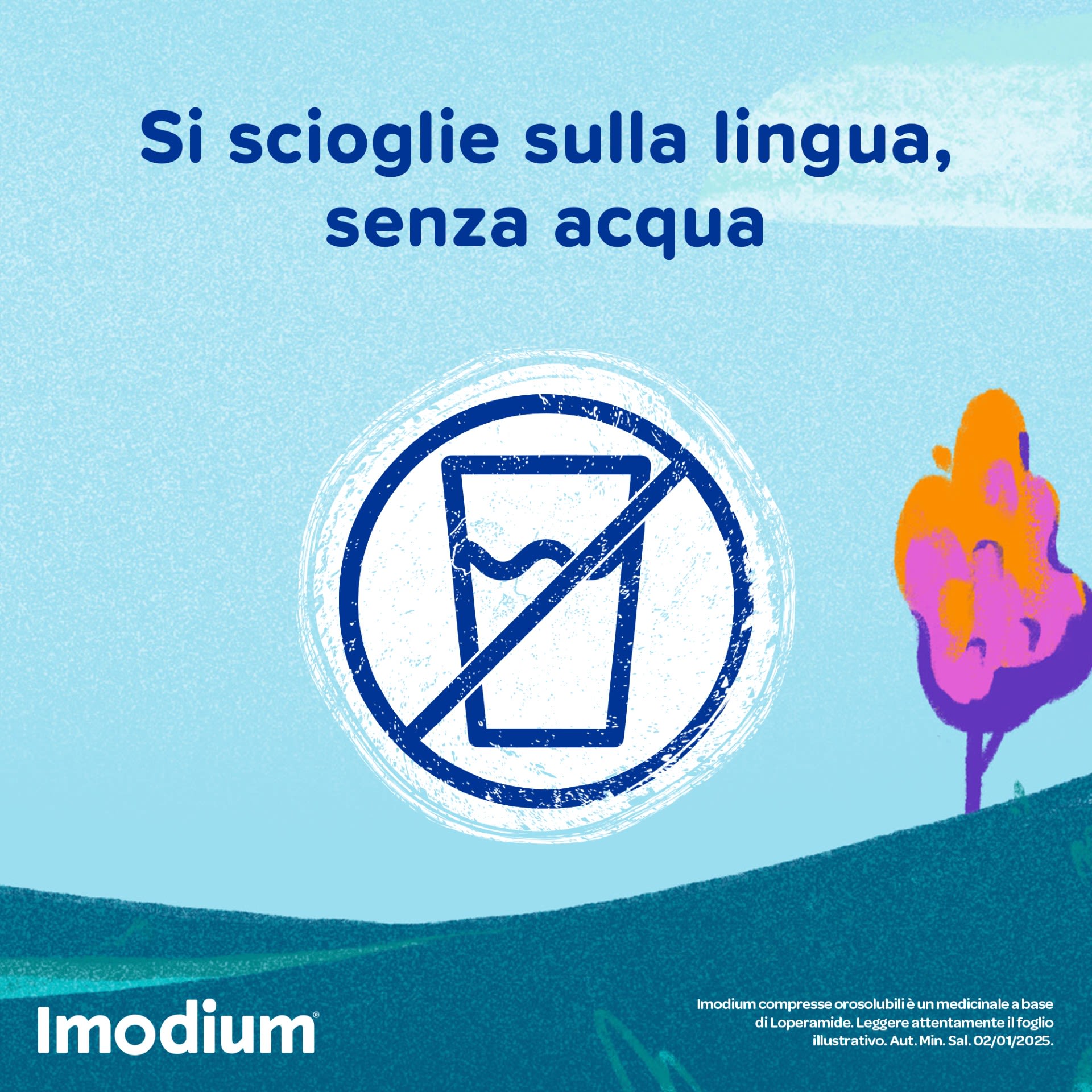 023673092 - IMODIUM*12 cpr orosolubili 2 mg - 9997585_8.jpg