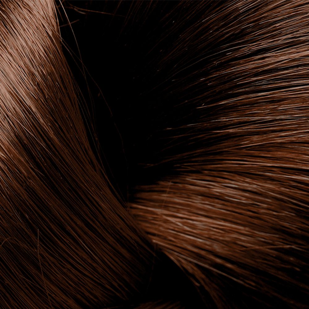 973344599 - Phyto Phytocolor Box 6,7 Biondo Scuro Marrone - 4730354_3.jpg