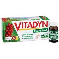 Vitadyn Sostegno 10 Flaconcini