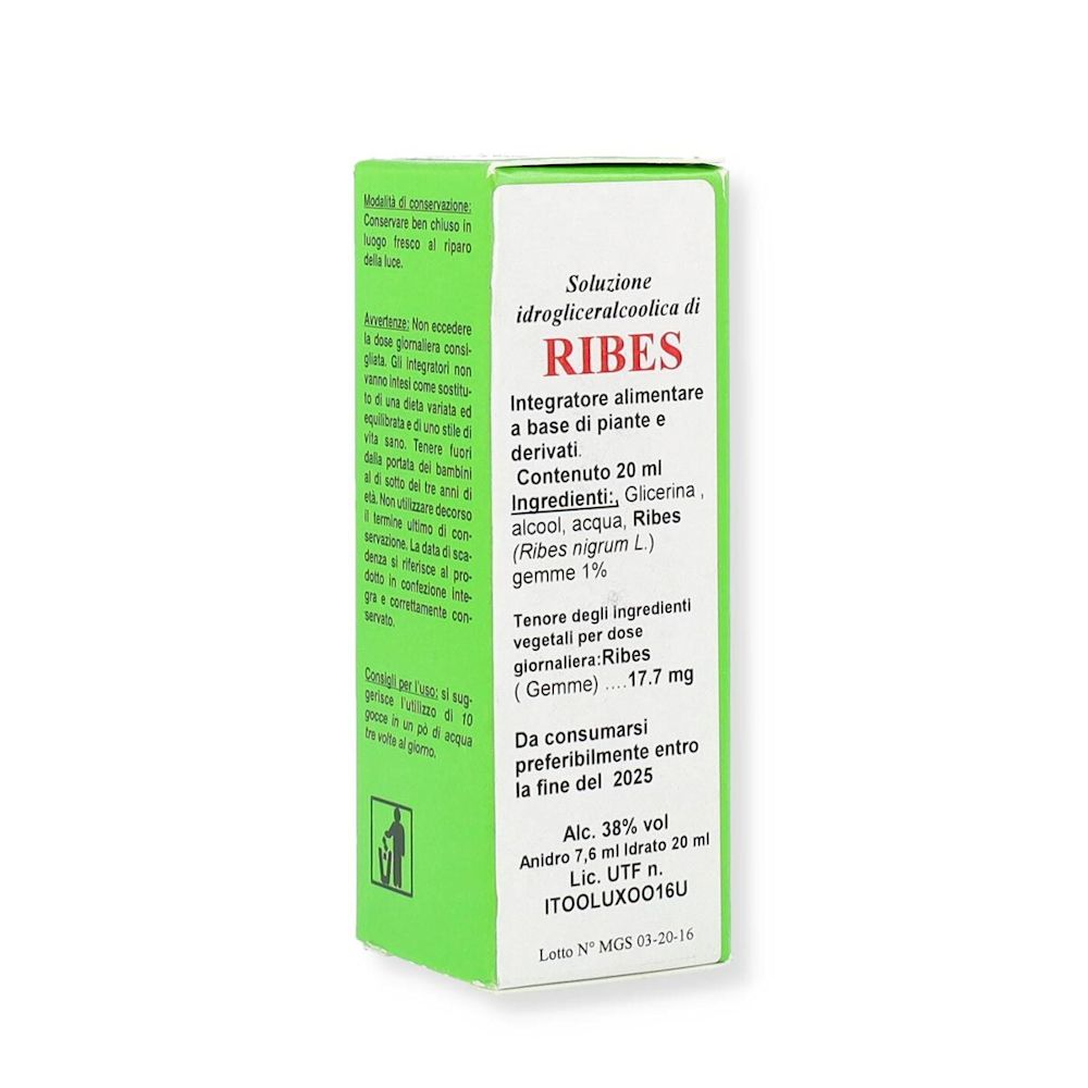 903904908 - Alkaest MGS16 Ribes Macerato Glicerico SPG 20ml - 7880385_2.jpg