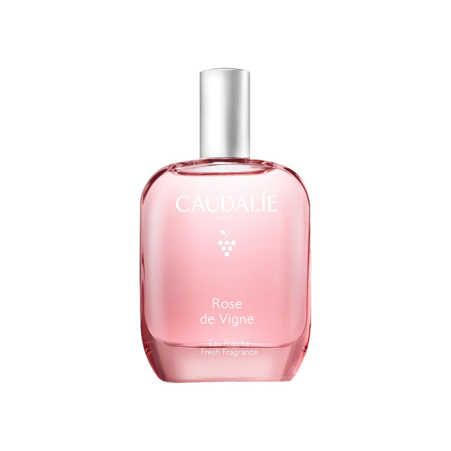 image - 951989920 - Fragranza fresca e delicata con note di rosa, rabarbaro e muschio bianco, ideale per un tocco di eleganza quotidiana. - 4865081_2.jpg