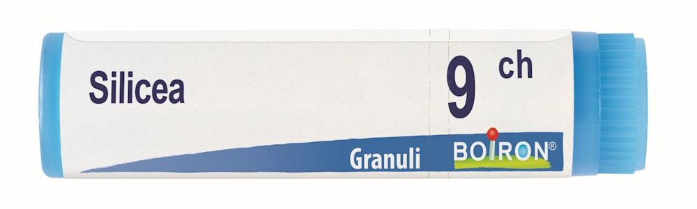 800111371 - Boiron Silicea 9ch Globuli - 4711964_2.jpg
