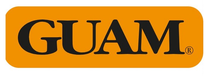 image - 973353168 - Guam Panty Ventre Piatto Snellente L-XL 46-50 &egrave; un capo intimo modellante che aiuta a rimodellare la zona addominale e dei fianchi, migliorando l'elasticit&agrave; cutanea e la microcircolazione. - 4868089_1.jpg