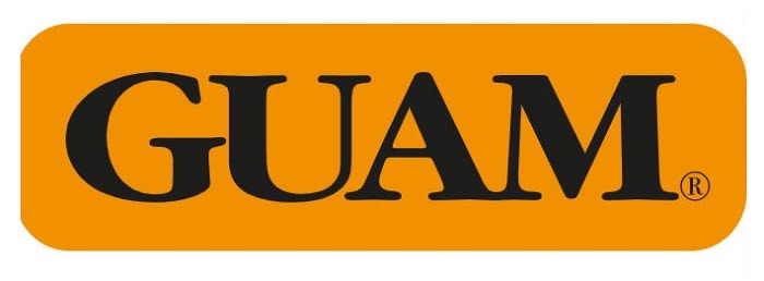 image - 973353168 - Guam Panty Ventre Piatto Snellente L-XL 46-50 è un capo intimo modellante che aiuta a rimodellare la zona addominale e dei fianchi, migliorando l'elasticità cutanea e la microcircolazione. - 4868089_1.jpg