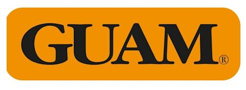 image - 973353168 - Guam Panty Ventre Piatto Snellente L-XL 46-50 è un capo intimo modellante che aiuta a rimodellare la zona addominale e dei fianchi, migliorando l'elasticità cutanea e la microcircolazione. - 4868089_1.jpg