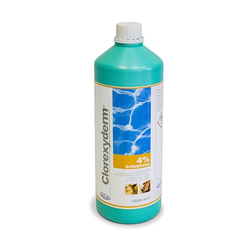 900498837 - CLOREXYDERM SOLUZIONE 4% 1000 ML - 0006566_1.jpg