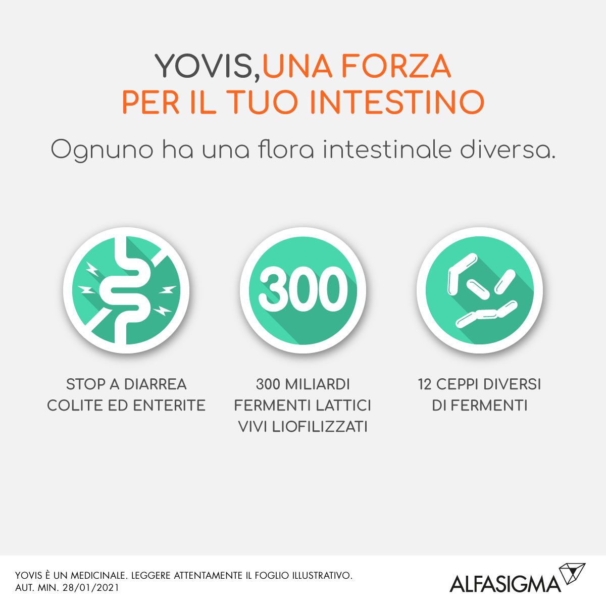 image - 029305012 - YOVIS*orale grat 10 bust 1 g - 7866883_3.jpg