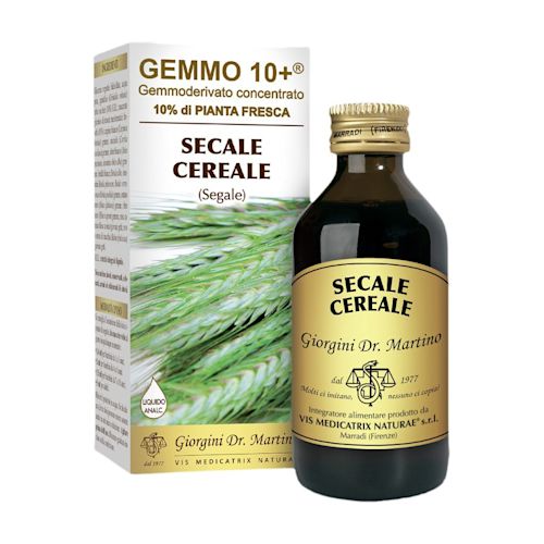 image - 924548225 - Gemmo 10+ Segale è un gemmoderivato concentrato di segale, utile per l'assunzione quotidiana secondo le dosi consigliate. - 4876200_2.jpg
