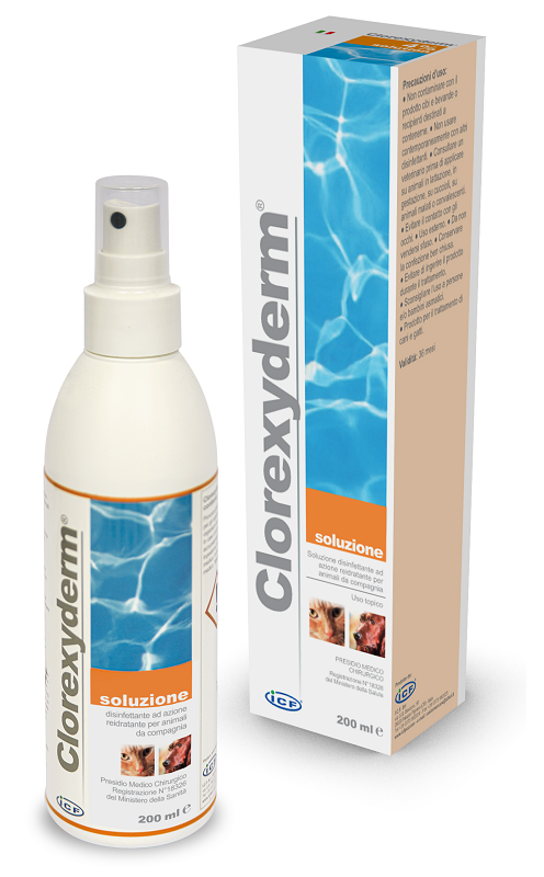 image - 984360343 - CLOREXYDERM SOLUZIONE 200 ML - 0005467_1.png