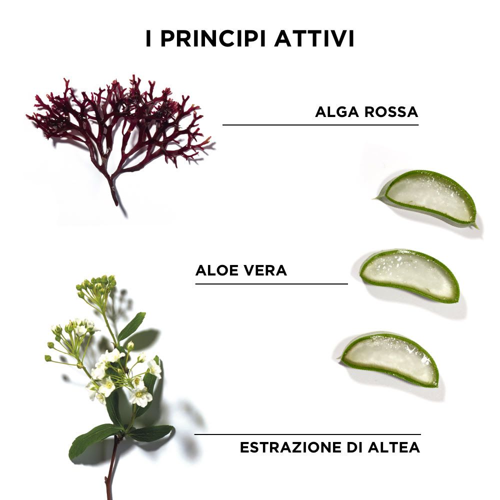 image - 980924738 - Phyto Phytodefrisant Trattamento Ritocco anti-Crespo capelli crespi 50ml - 4708445_3.jpg