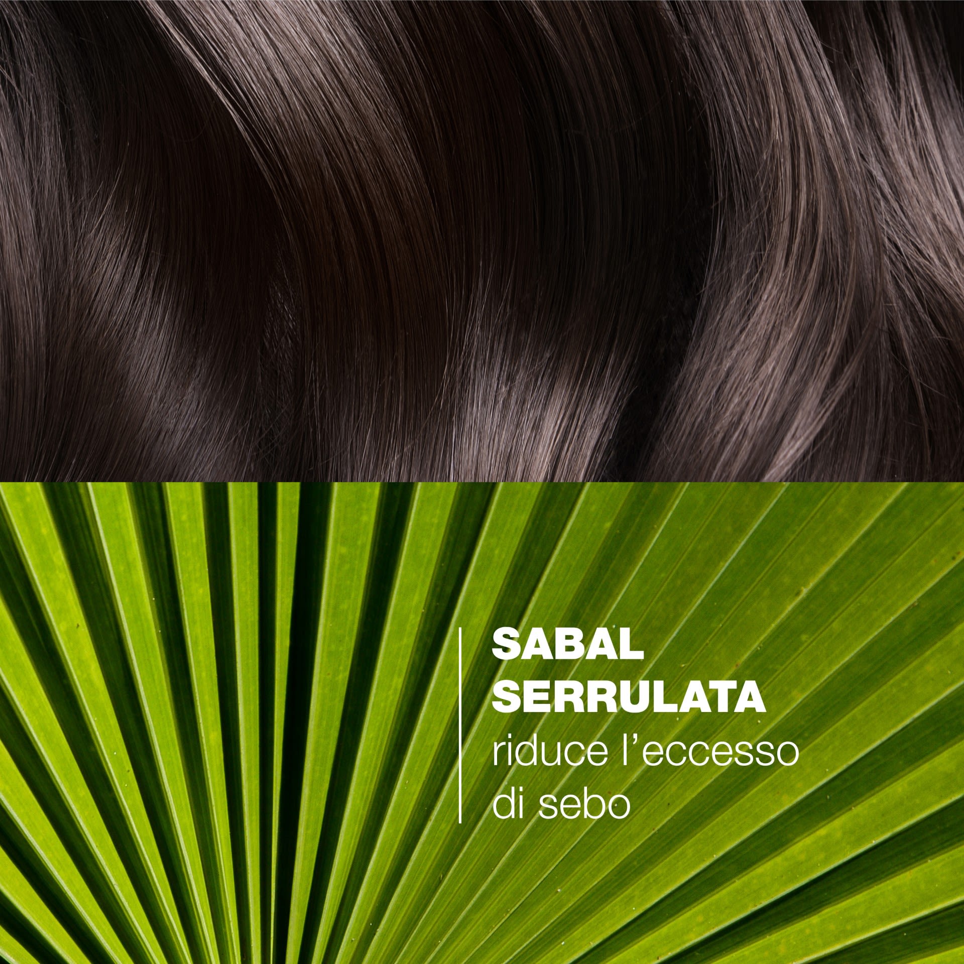 987876099 - SABAL SHAMPOO TRATTANTE 200 ML - 4836517_9.jpg