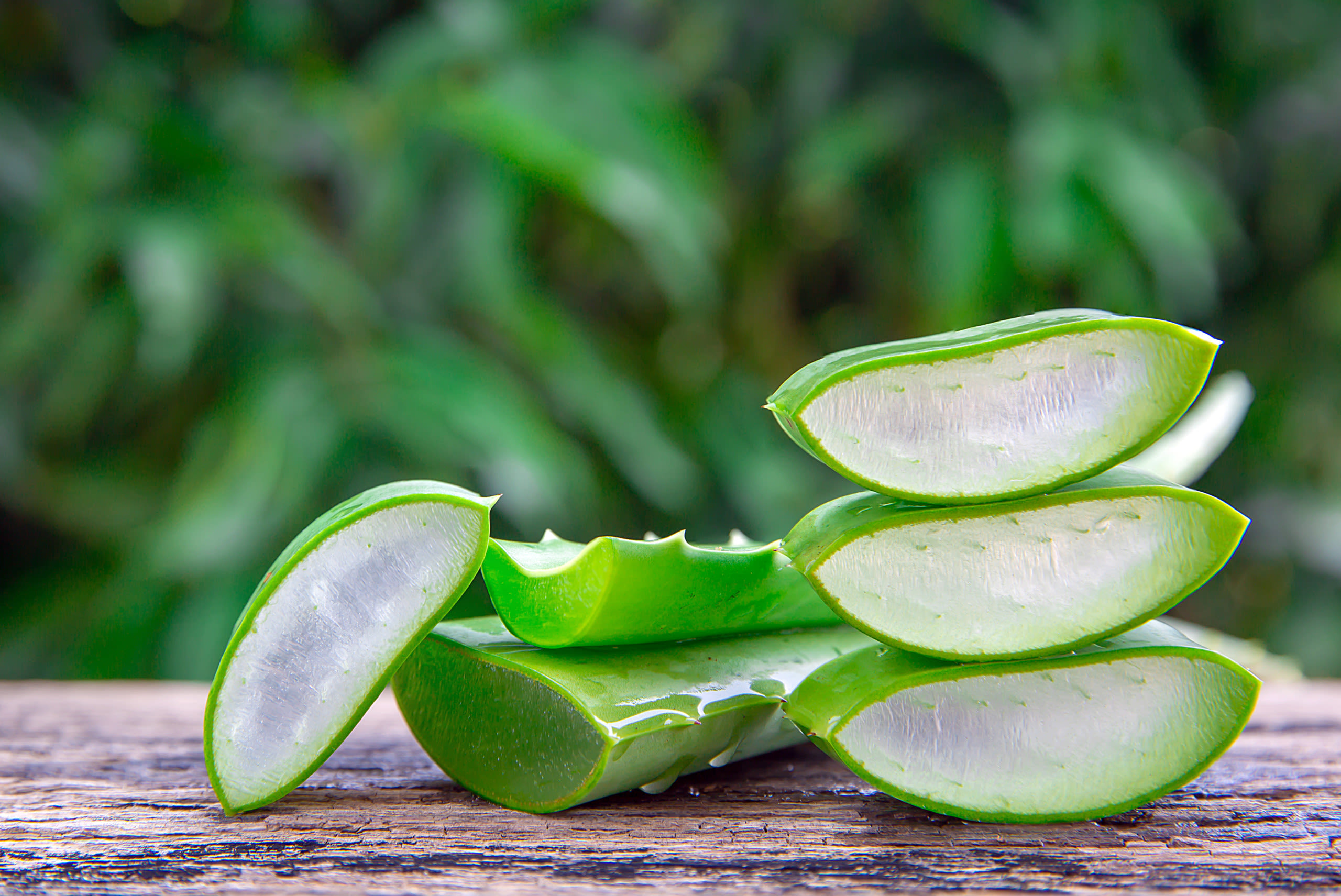 Magazine | Succo di aloe vera come sceglierlo